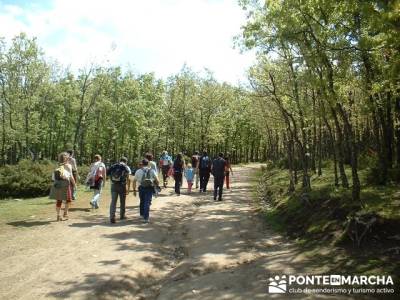 ruta Cascadas del Purgatorio; ruta de los pescadores arenas de san pedro; rutas por madrid y alreded